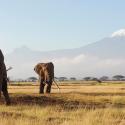 Kilimanjaro